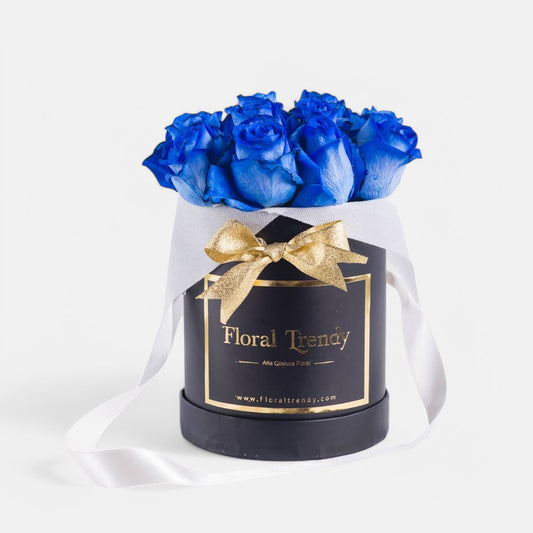 Box Blue