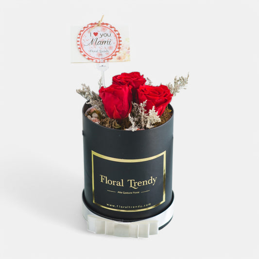 Petit Rubi  Eterna