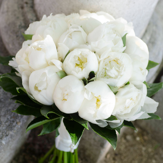 BOUQUET CLASICO- WHITE